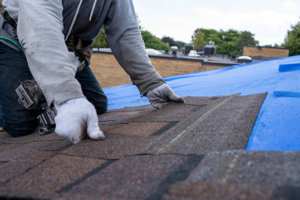 Best Best Roofing Contractors  in Rose Hill, VA