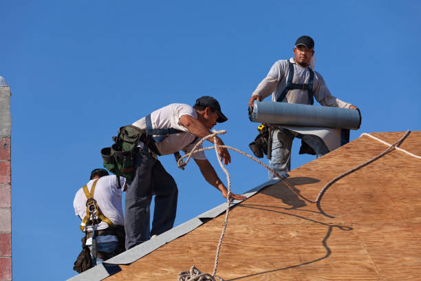 Best Sealant for Roof  in Rose Hill, VA