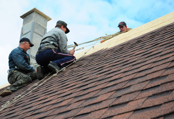 Best Metal Roofing Contractor  in Rose Hill, VA